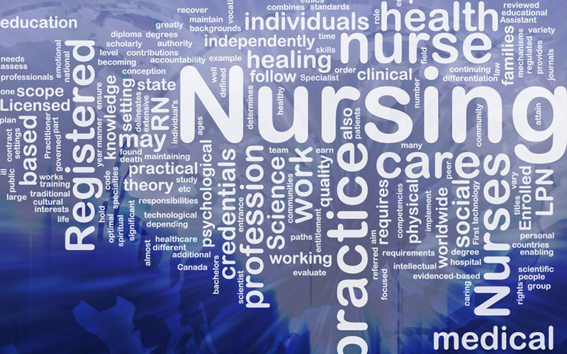Nursing Practice and Professional Advancement’s Work-School Program